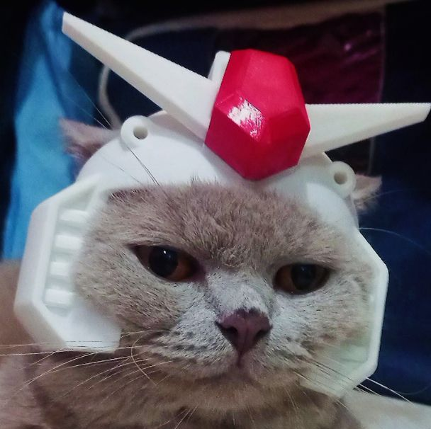 Cat Helmet